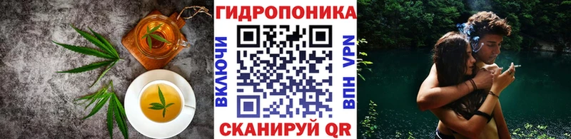 ОМГ ОМГ tor Велиж Печенье с ТГК марихуана