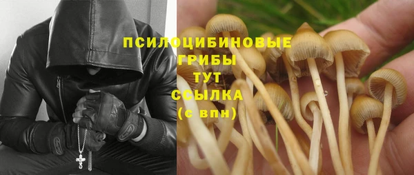 а пвп мука Куйбышев