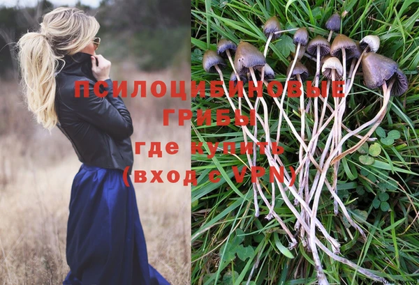 бутират Кулебаки