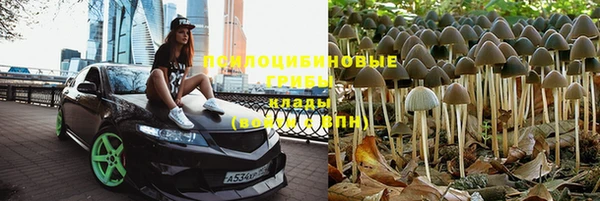 скорость mdpv Кукмор